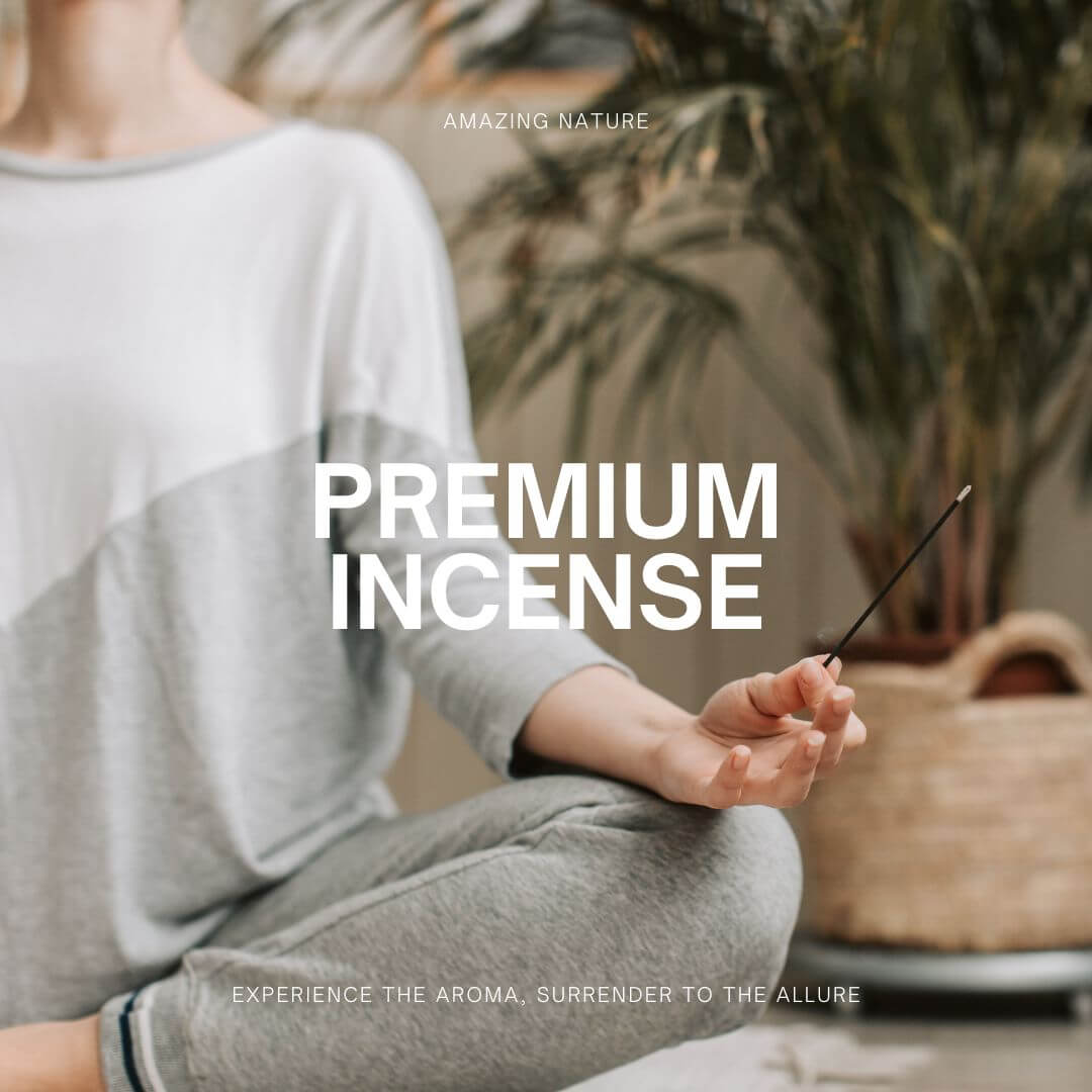 Premium Incense Collections, Pack of 4, Under Rs 499