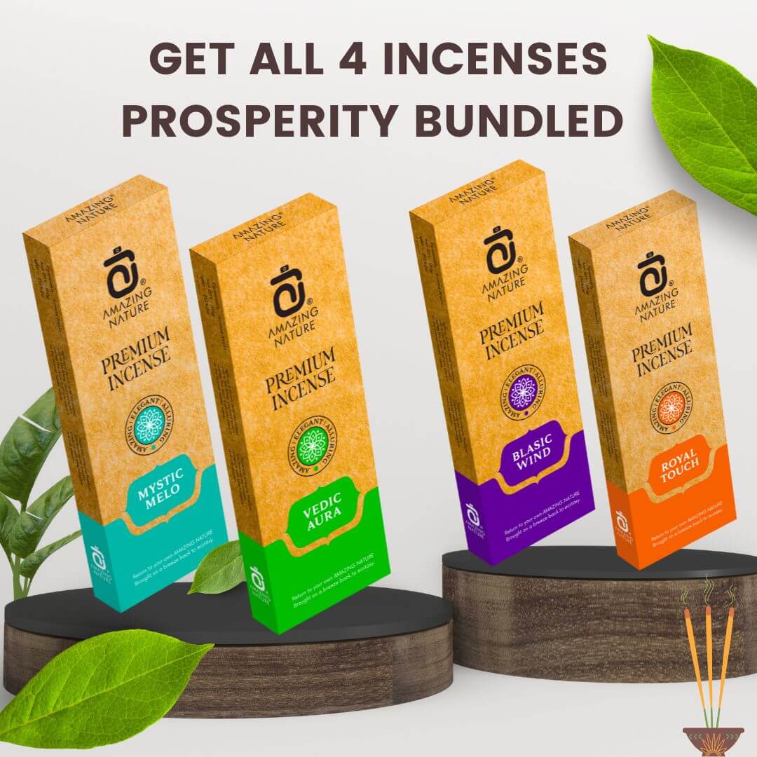 PROSPERITY INCENSE STICK BUNDLE - 4 PRODUCTS